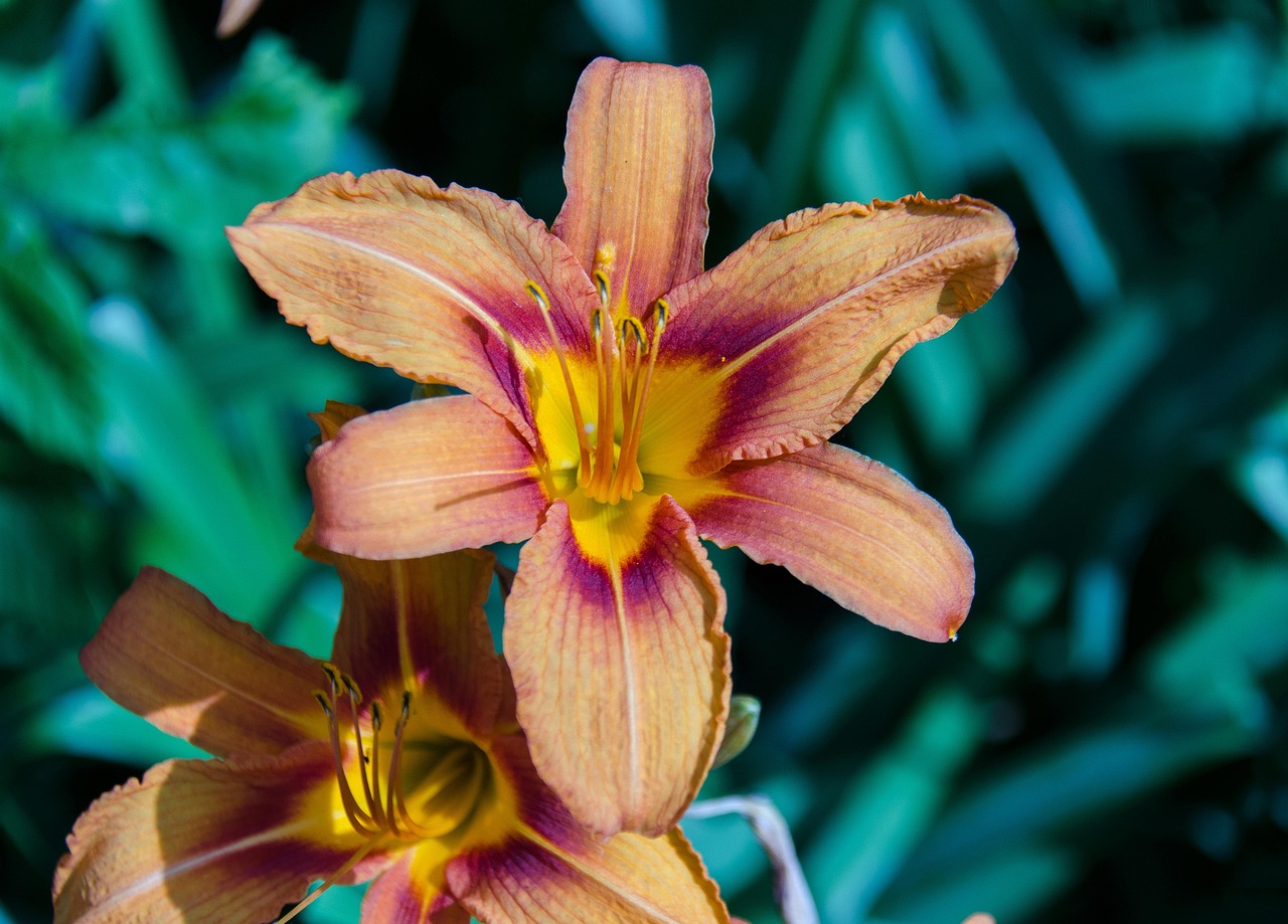 中国十大保健品批发市场2025年排行榜前十名榜单出炉