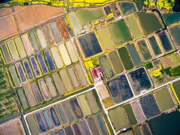 无锡十大钓鱼好地方2025年排行榜前十名榜单出炉