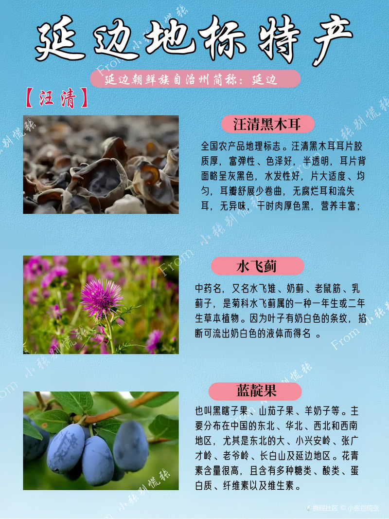 延边十大特产2025年排行榜前十名榜单出炉 延边十大特产2025年排行榜前十名榜单出炉