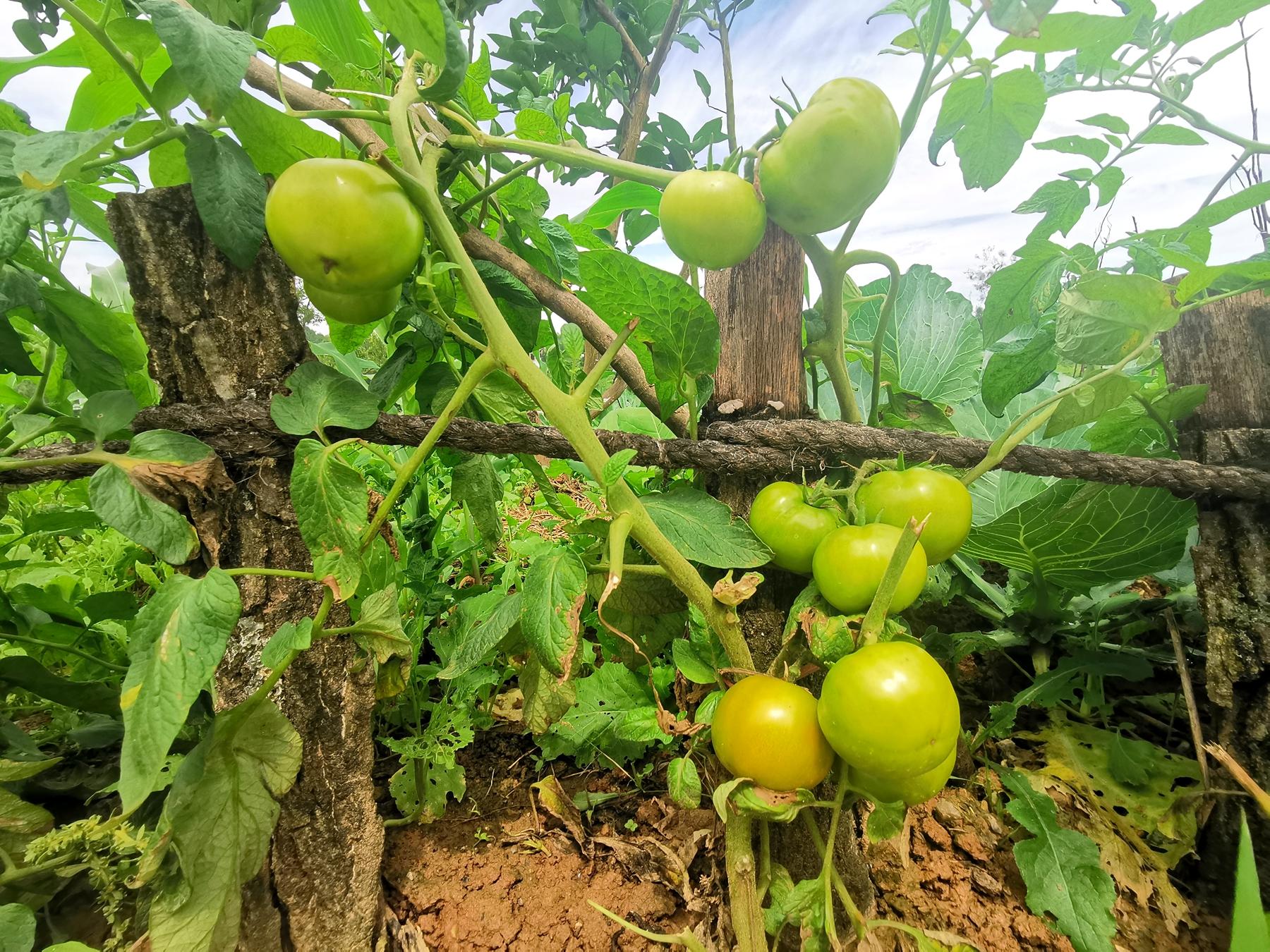 承德避暑山庄十大特产2025年排行榜前十名榜单出炉