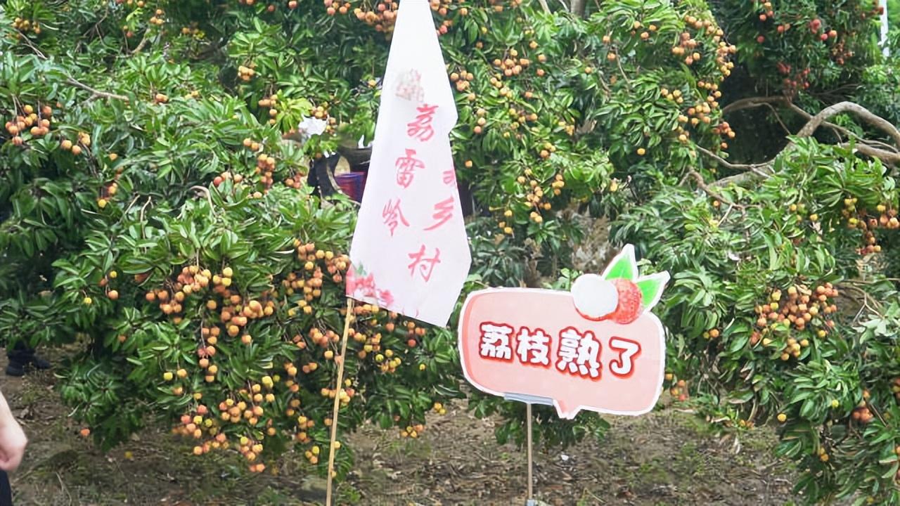 汕头十大适合露营的地方2025年排行榜前十名榜单出炉 汕头十大适合露营的地方2025年排行榜前十名榜单出炉