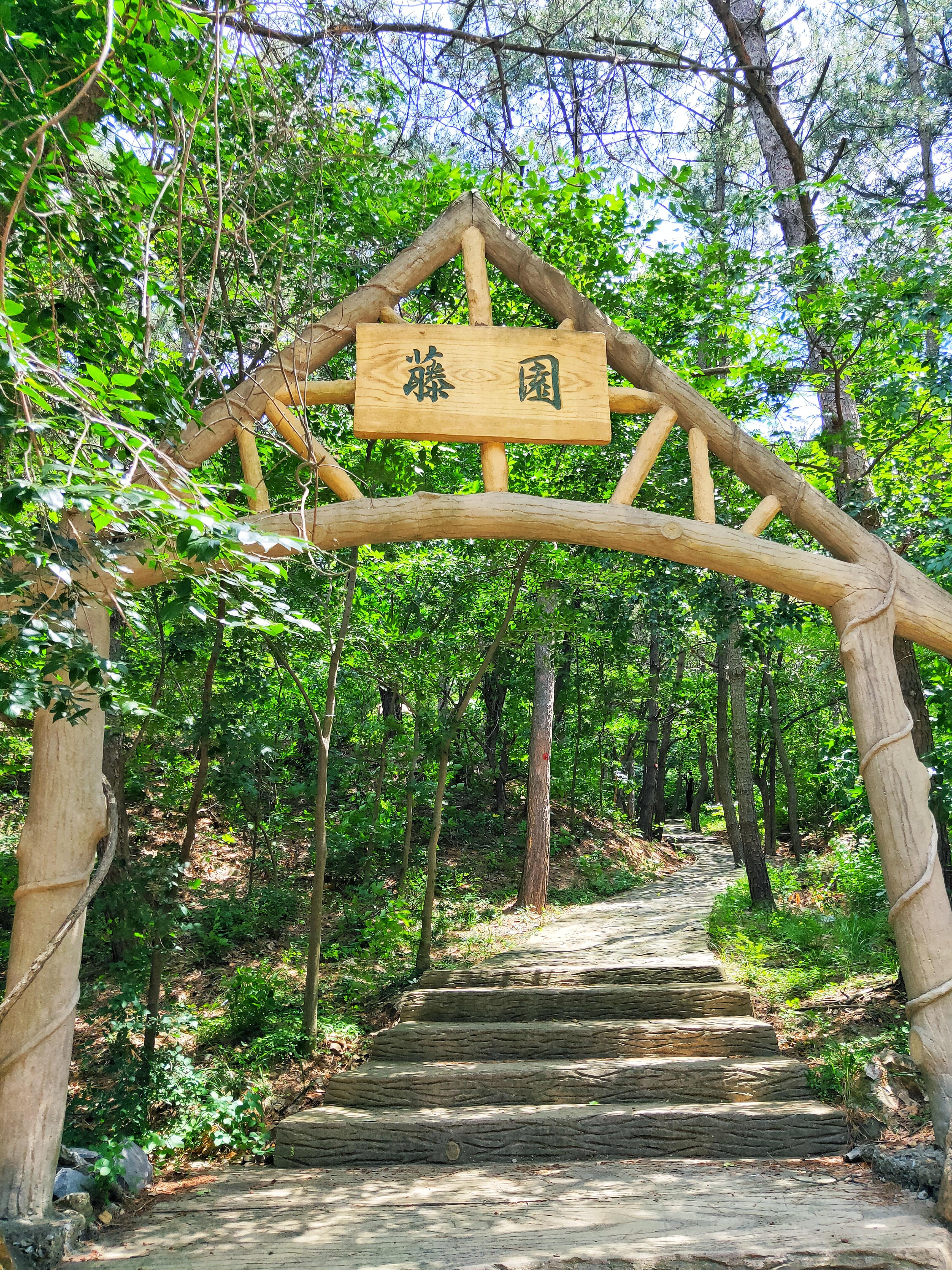 大连十大主题公园2025年排行榜前十名榜单出炉