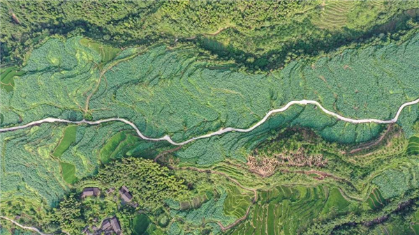 三明市建宁县十大著名旅游景点2025年排行榜前十名榜单出炉