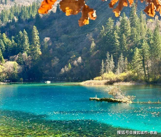 四川十大适合春季旅游的地方2025年排行榜前十名榜单出炉