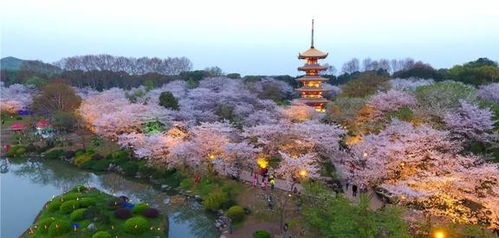 武汉亲子游十大经典必去景点2025年排行榜前十名榜单出炉