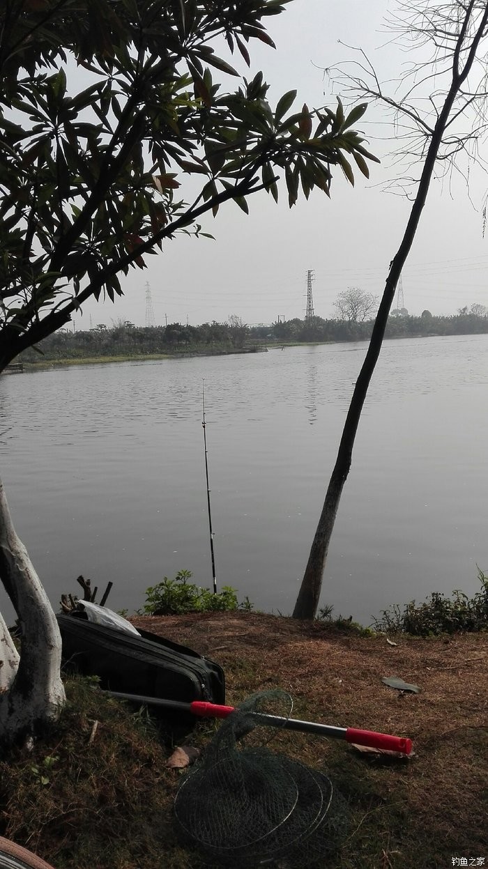 佛山十大钓鱼好地方2025年排行榜前十名榜单出炉 佛山十大钓鱼好地方2025年排行榜前十名榜单出炉