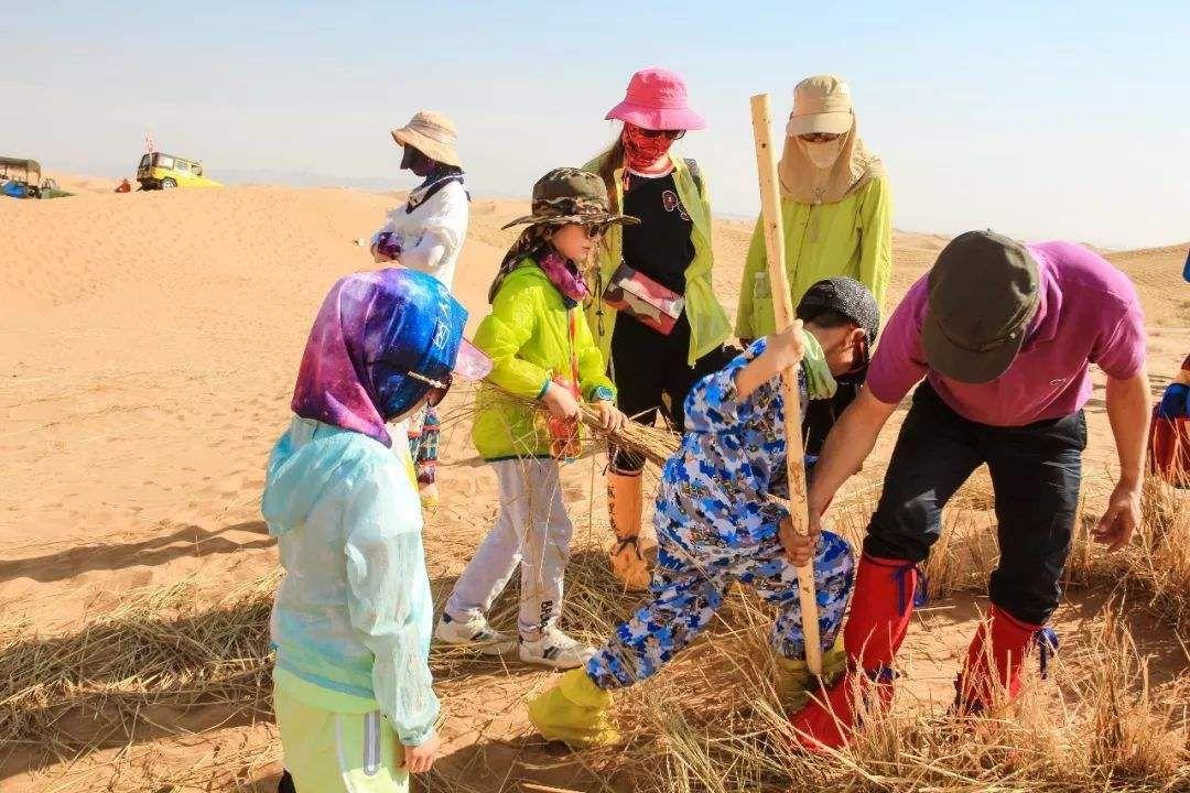 宁夏十大适合亲子旅游的地方2025年排行榜前十名榜单出炉
