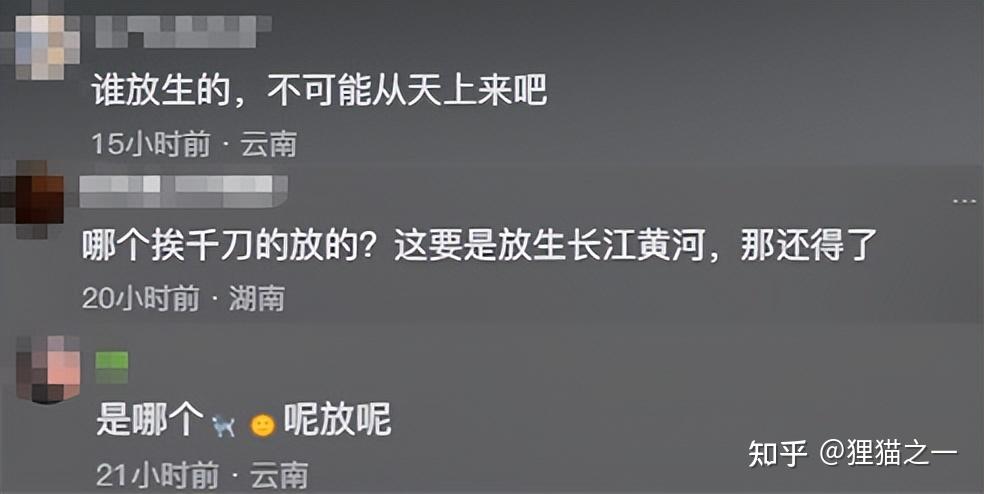 云南十大钓鱼好地方2025年排行榜前十名榜单出炉