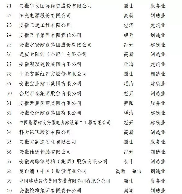 合肥十大知名企业家2025年排行榜前十名榜单出炉