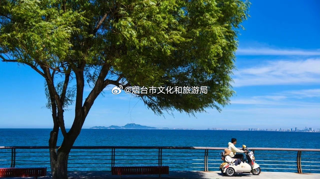 烟台十大城市名片2025年排行榜前十名榜单出炉