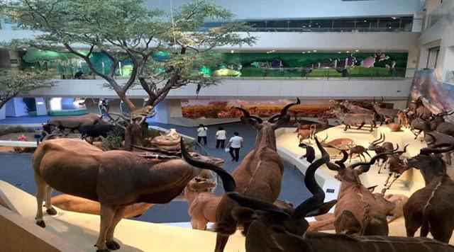 四大武汉展馆2025年排行榜前十名榜单出炉 四大武汉展馆2025年排行榜前十名榜单出炉