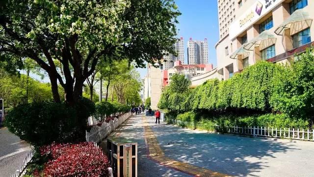 西宁十大夏季旅游好去处2025年排行榜前十名榜单出炉