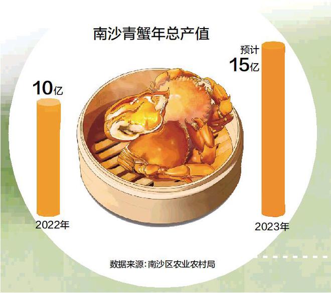 十大青蟹产地2025年排行榜前十名榜单出炉 十大青蟹产地2025年排行榜前十名榜单出炉