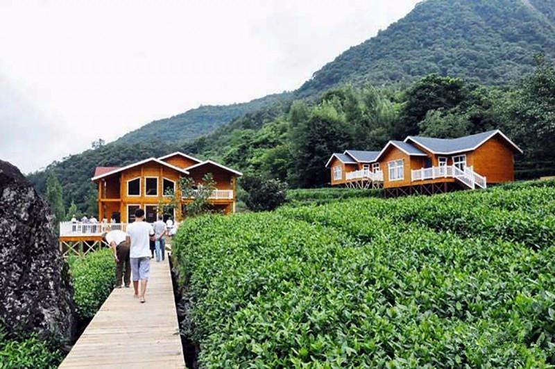 甘肃十大名茶2025年排行榜前十名榜单出炉