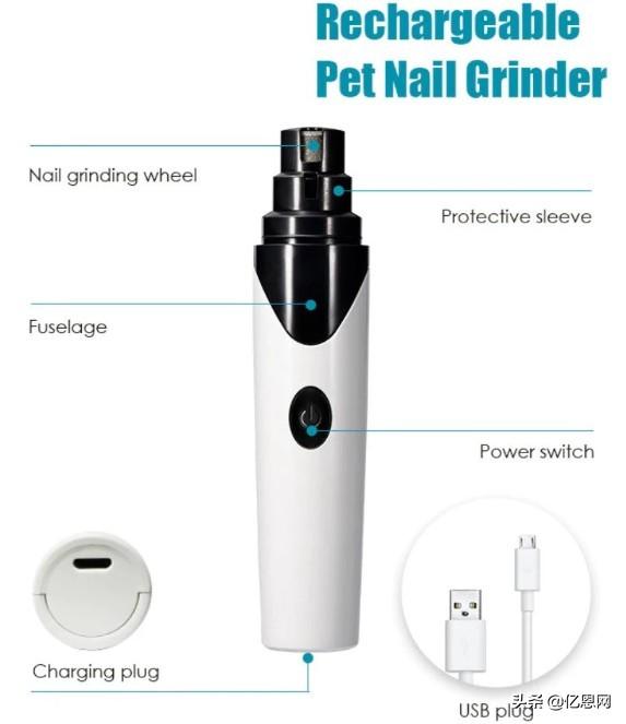 世界十大最热门的小型宠物2025年排行榜前十名榜单出炉