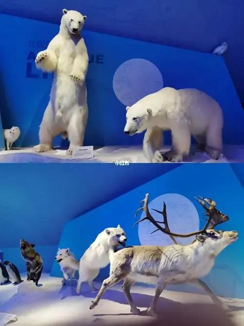 天津十大著名博物馆2025年排行榜前十名榜单出炉