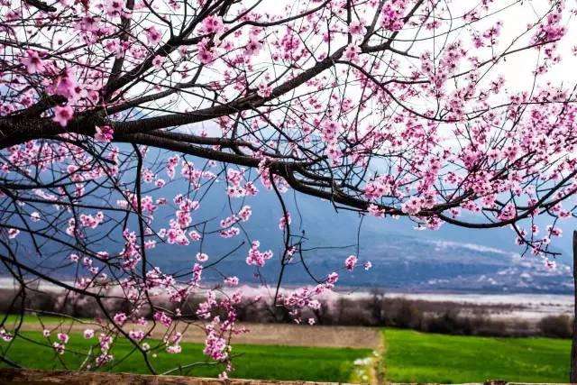 江西十大赏花胜地2025年排行榜前十名榜单出炉