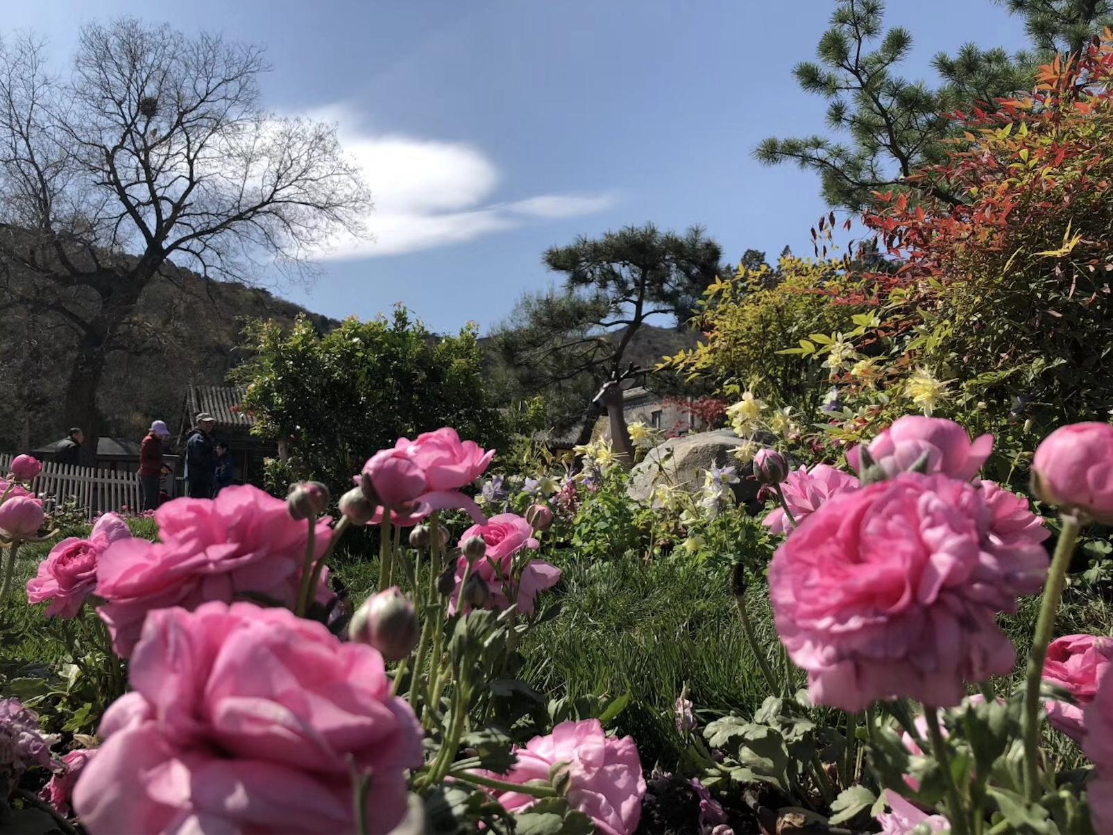 北京十大适合清明节旅游的地方2025年排行榜前十名榜单出炉