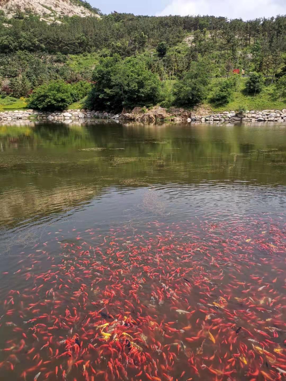 大连最值得去的十大景点2025年排行榜前十名榜单出炉 大连最值得去的十大景点2025年排行榜前十名榜单出炉