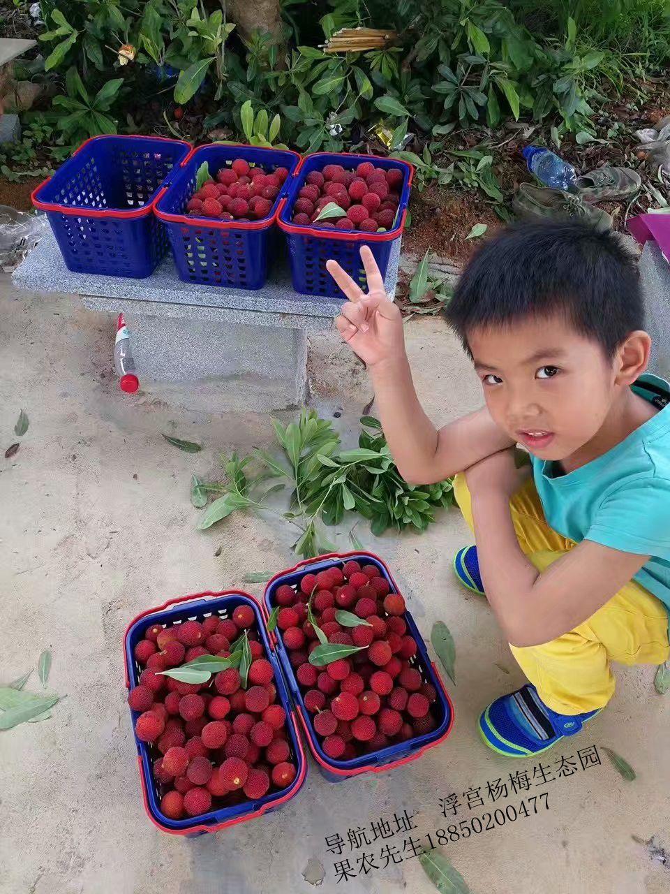 厦门十大名胜古迹2025年排行榜前十名榜单出炉