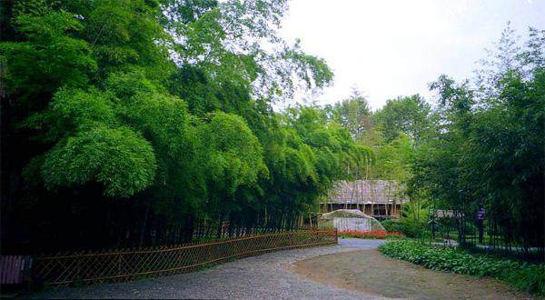 中国十大竹林度假村2025年排行榜前十名榜单出炉