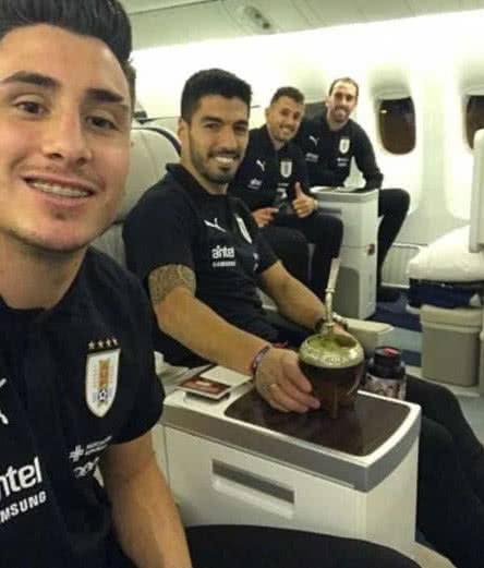 看世界杯必备十款饮料2025年排行榜前十名榜单出炉