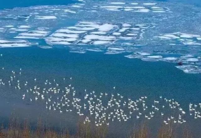 郑州十大最适合看雪的地方2025年排行榜前十名榜单出炉 郑州十大最适合看雪的地方2025年排行榜前十名榜单出炉