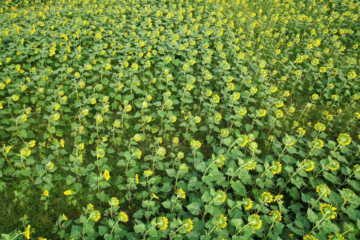 浙江十大适合露营的地方2025年排行榜前十名榜单出炉