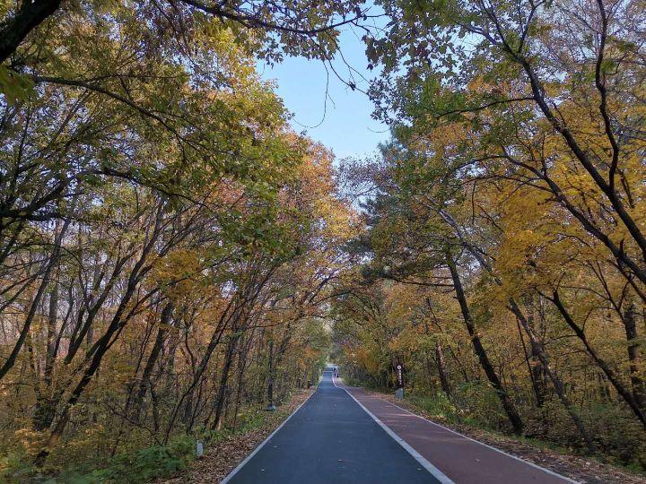 长春国庆旅游必去的地方2025年排行榜前十名榜单出炉