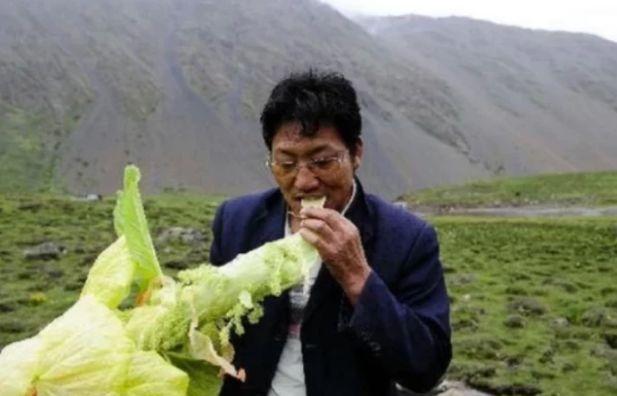 西藏十大采摘园2025年排行榜前十名榜单出炉