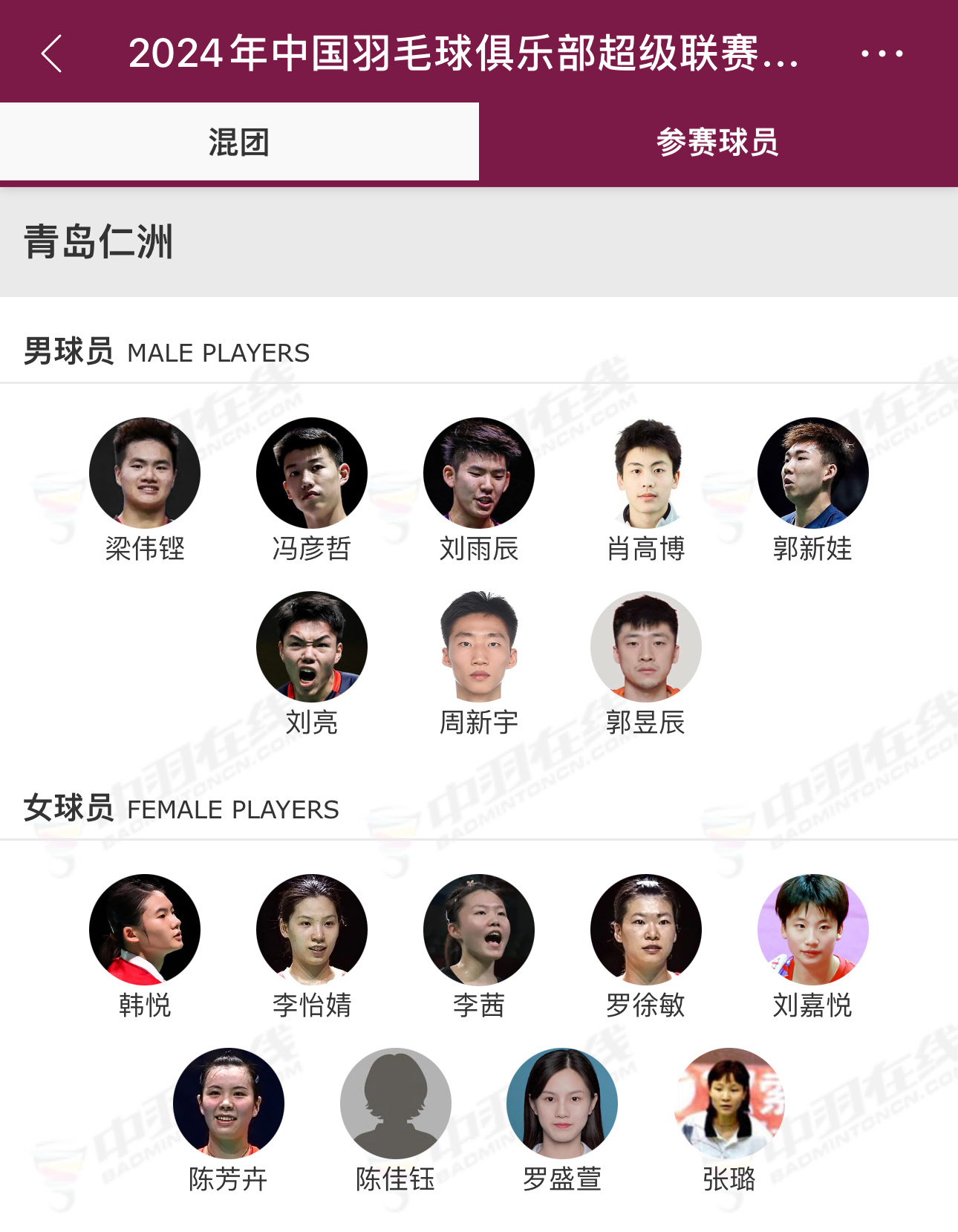 中国十大羽毛球男运动员2025年排行榜前十名榜单出炉