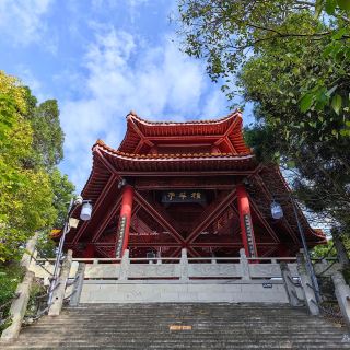 南充十大适合春季旅游的地方2025年排行榜前十名榜单出炉