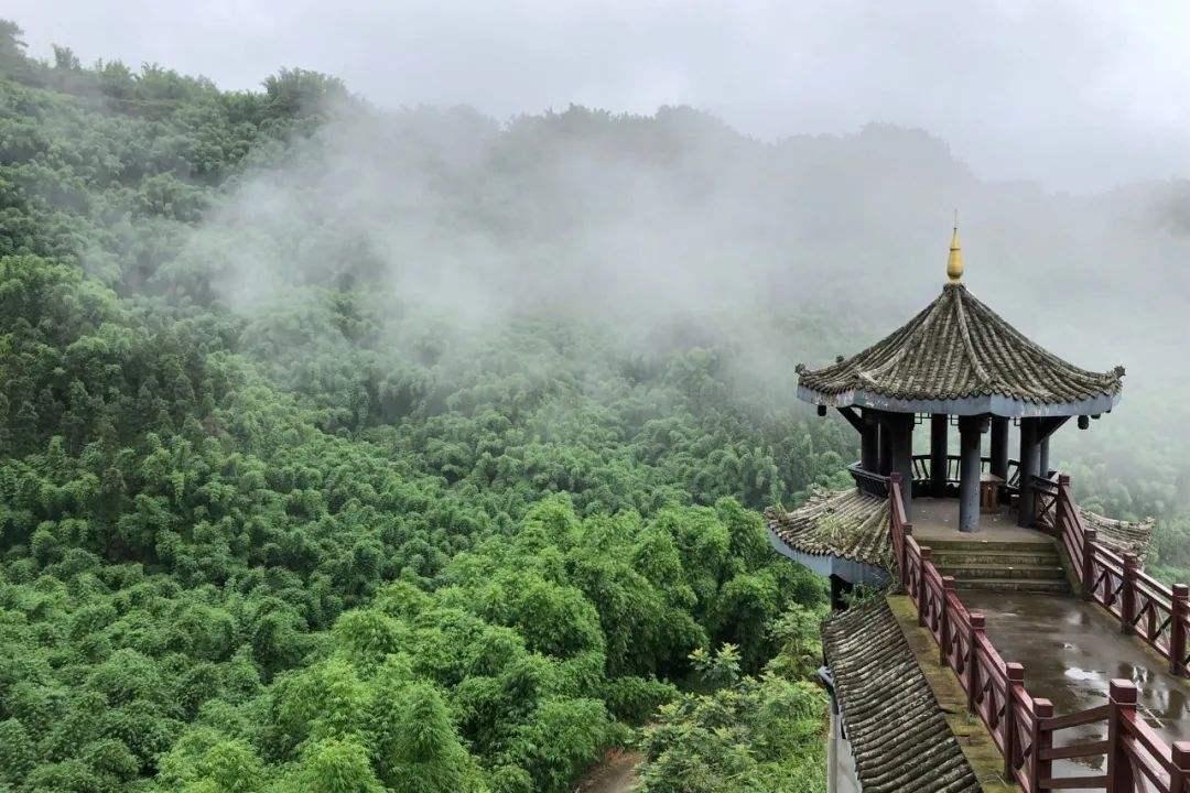 世界十大著名文化节2025年排行榜前十名榜单出炉 世界十大著名文化节2025年排行榜前十名榜单出炉