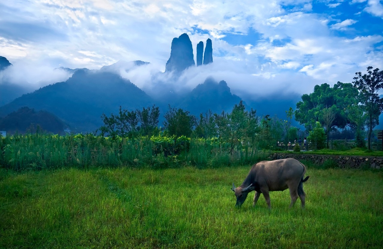 衢州十大适合春季旅游的地方2025年排行榜前十名榜单出炉