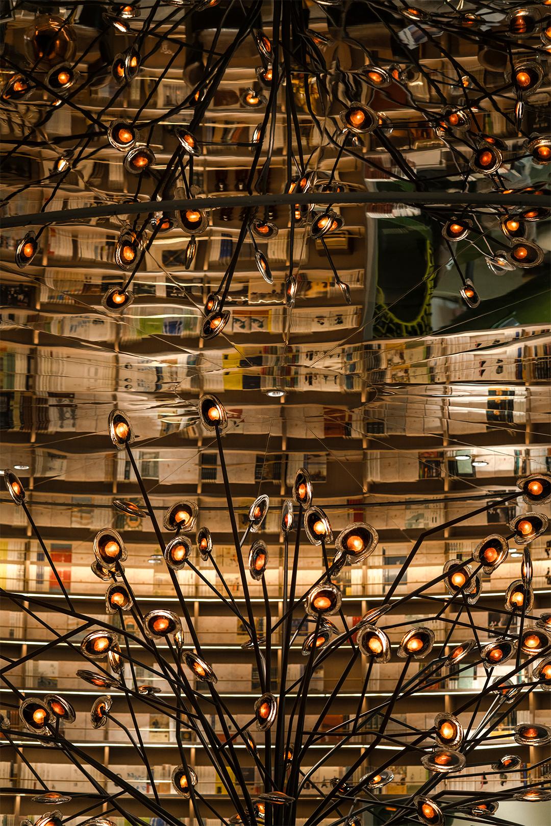 苏州十大文化馆2025年排行榜前十名榜单出炉