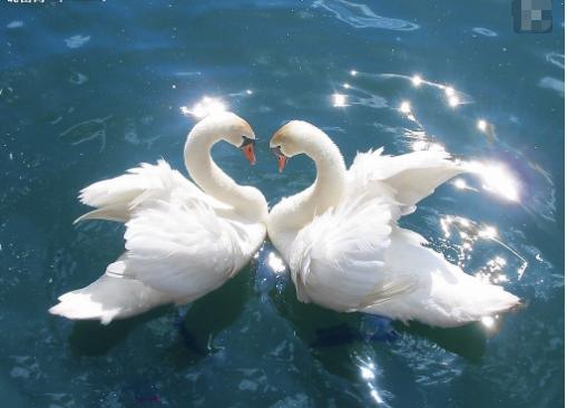 哈尔滨十大七夕旅游好去处2025年排行榜前十名榜单出炉