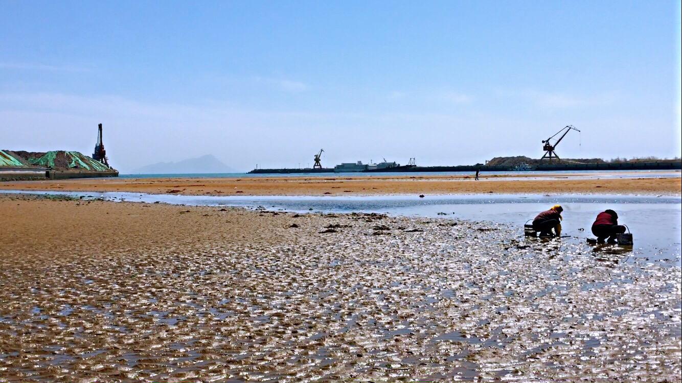 广东十大最适合赶海的地方2025年排行榜前十名榜单出炉