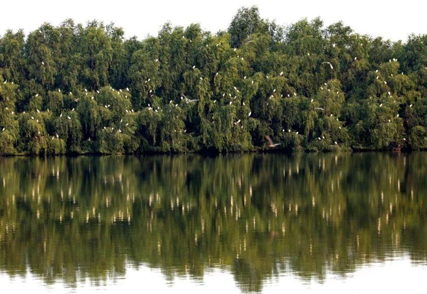 中国十大最美海滩2025年排行榜前十名榜单出炉 中国十大最美海滩2025年排行榜前十名榜单出炉