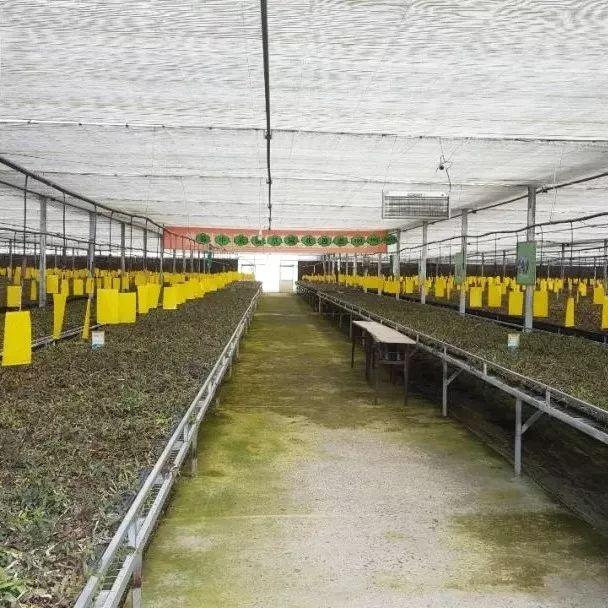 宁波十大家庭旅游好去处2025年排行榜前十名榜单出炉