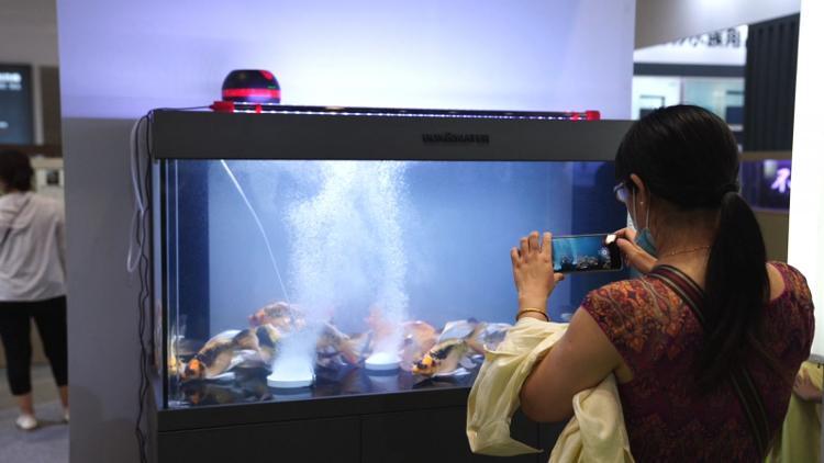 山东十大展会2025年排行榜前十名榜单出炉