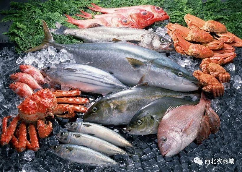 1月必吃的十大海鲜2025年排行榜前十名榜单出炉 1月必吃的十大海鲜2025年排行榜前十名榜单出炉